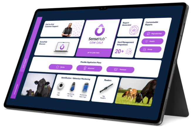 Surfplatta med sensehub-appen i lila