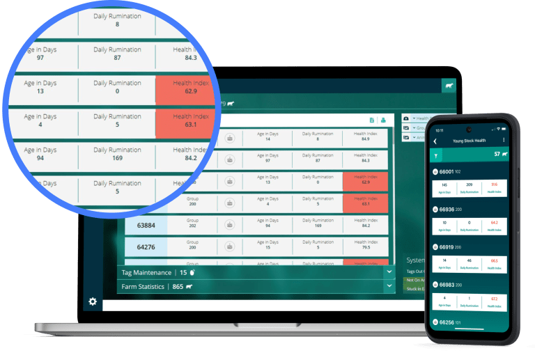 bärbar dator och mobiltelefon med Youngstock-data