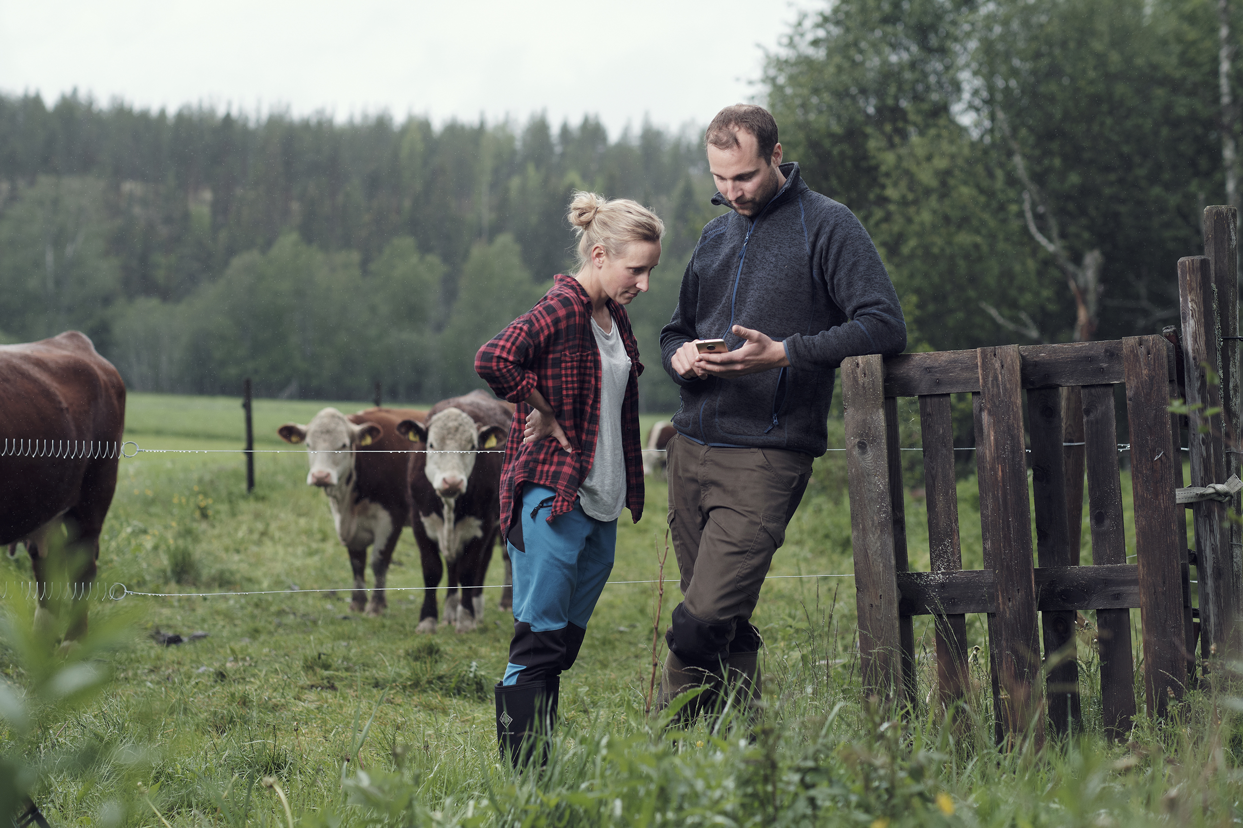 Välkommen till SenseHubs webbinare-serie!
