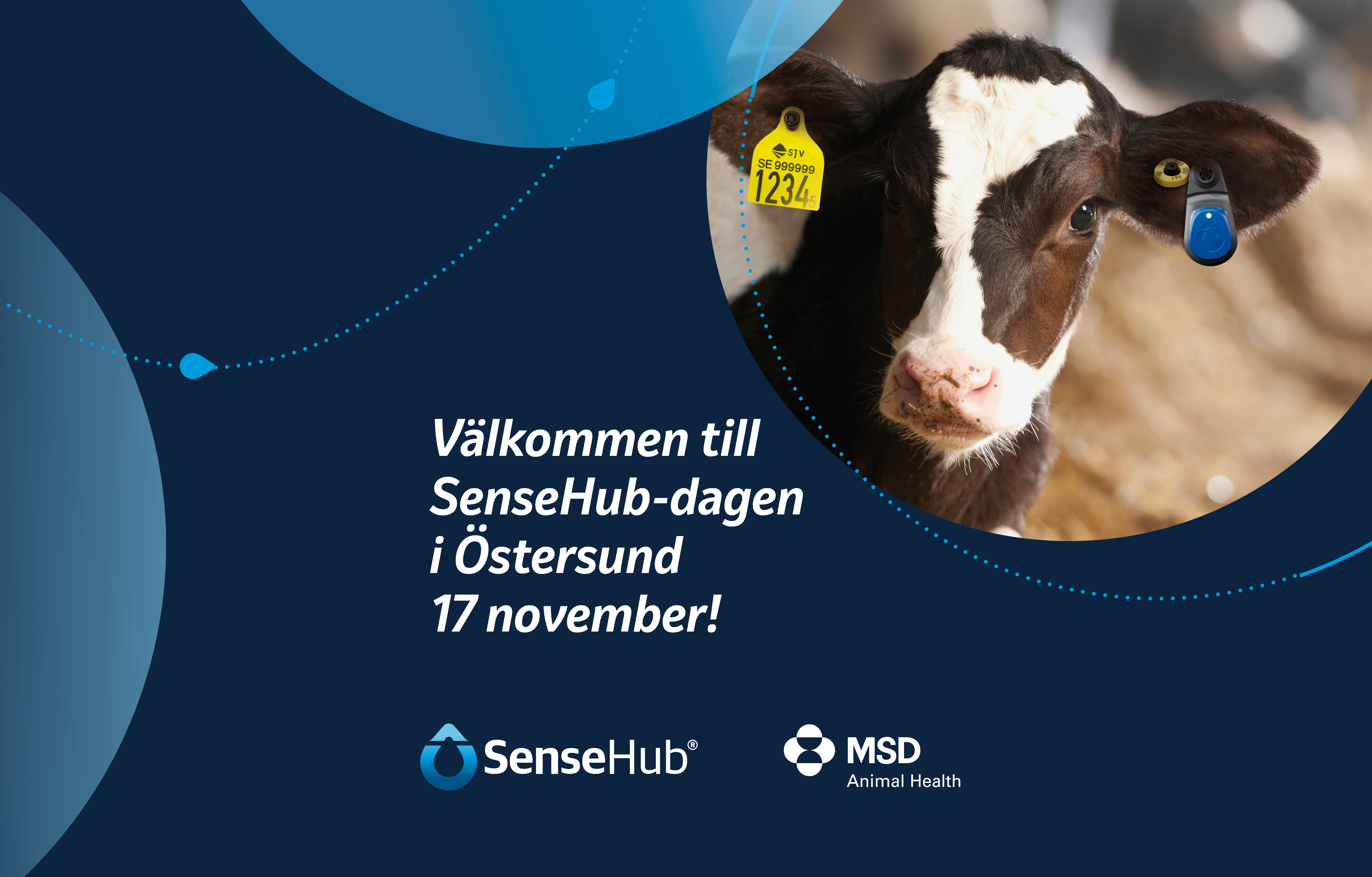 Välkommen till öppen SenseHub-dag i Östersund tisdag 17 november!