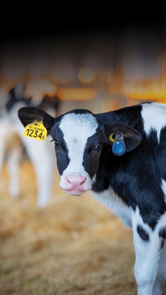 SenseHub Dairy Lifetime